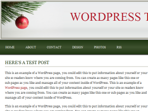 'Tis The Season Theme for WordPress preview image