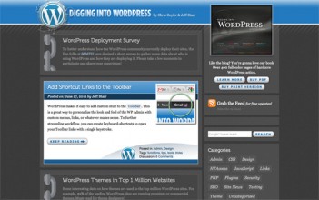 Digging into WordPress website